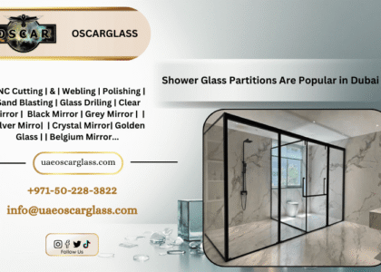Shower Glass Partition in Dubai
